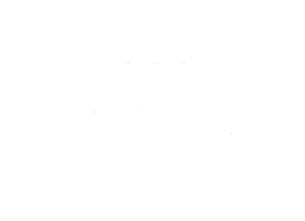 AWS AWS