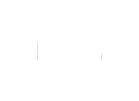 Dell Dell