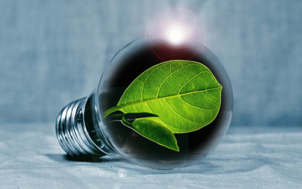Future First Sustainability—The Equinix Green Data Center Initiative